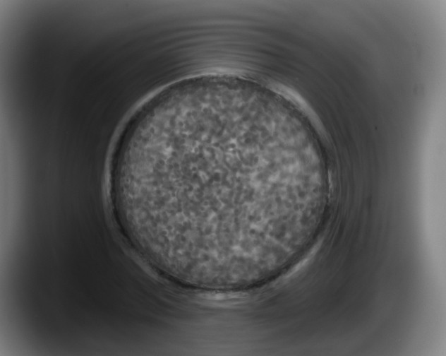 X0000087610780200705251941