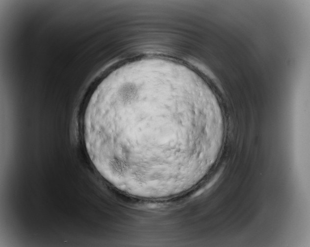 X0000087610782200705251941