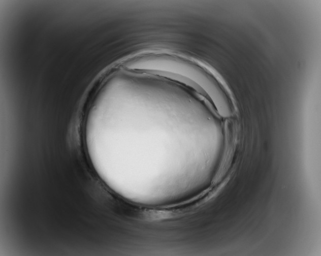 X0000087610783200705251941