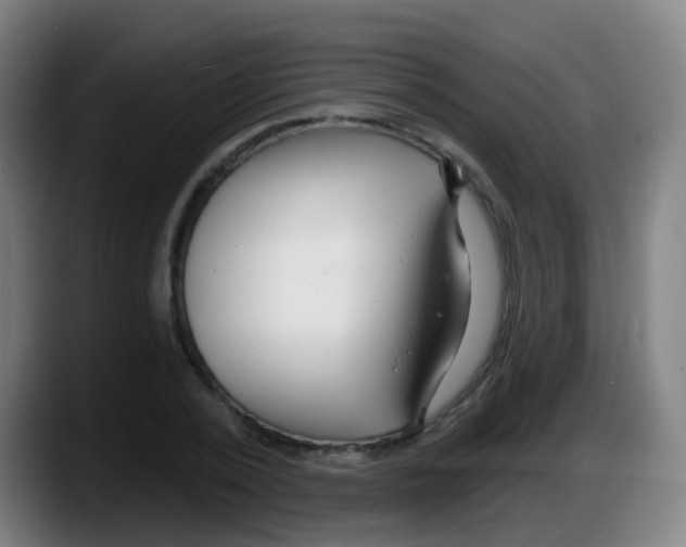 X0000087610784200705251941