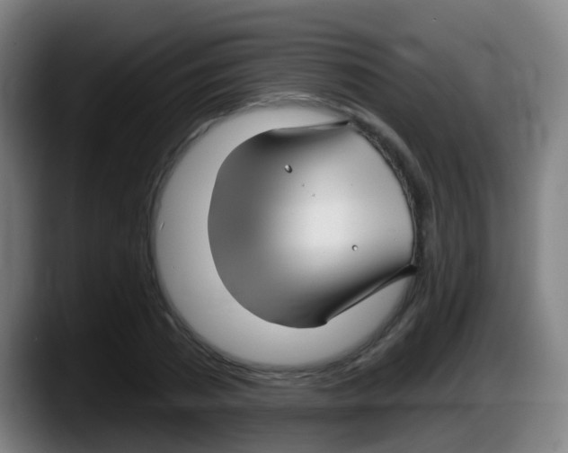 X0000087610785200705251941