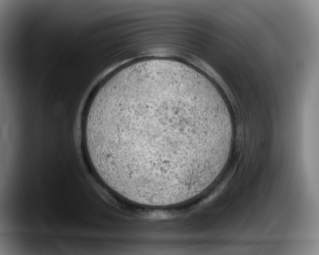 X0000087610787200705251941