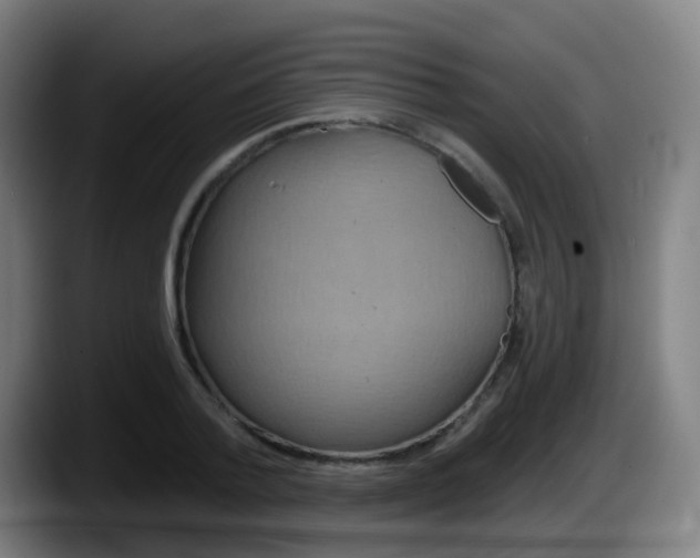 X0000087610788200705251941