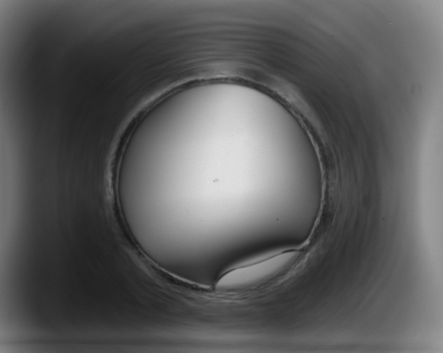 X0000087610789200705251941