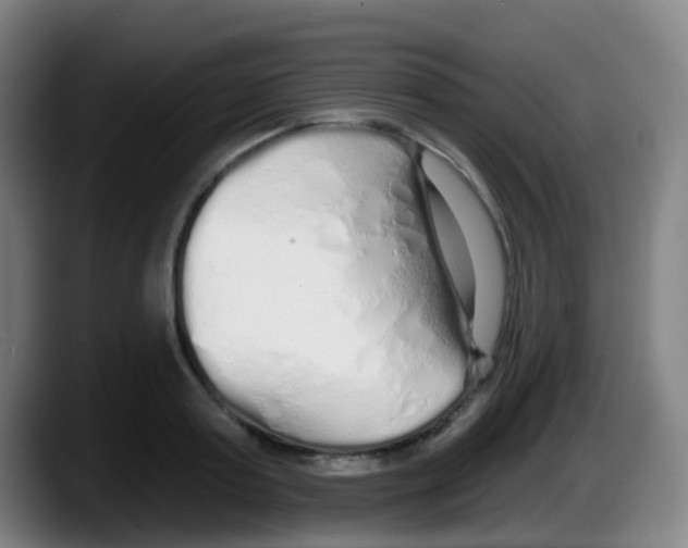 X0000087610795200705251941