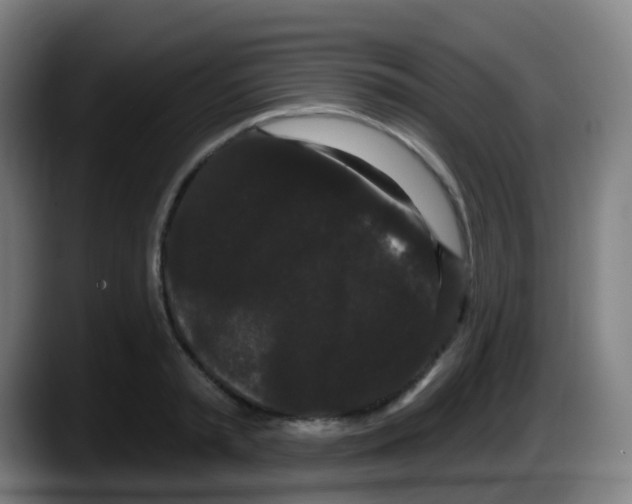 X0000087610797200705251941