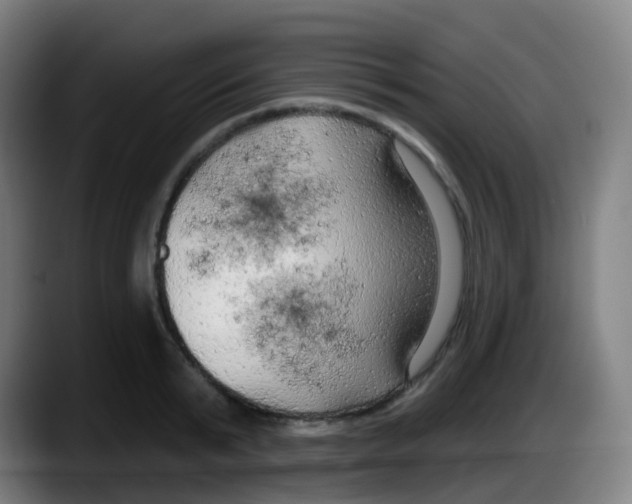 X0000087610799200705251941