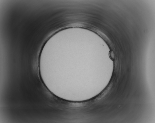 X0000087610800200705251941