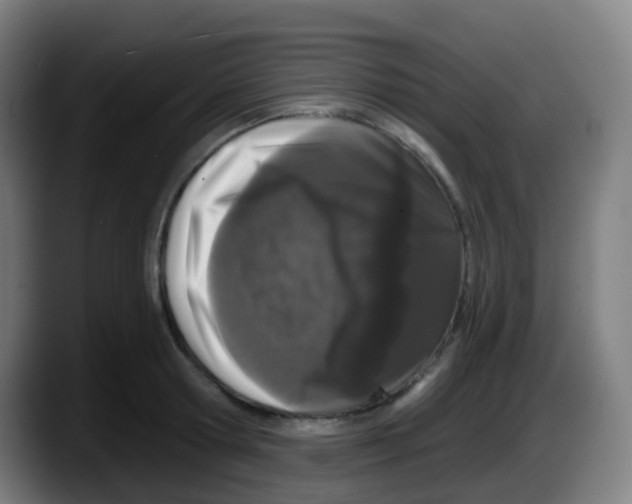 X0000087610802200705251941