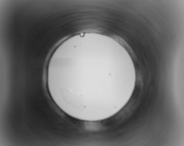 X0000087610804200705251941