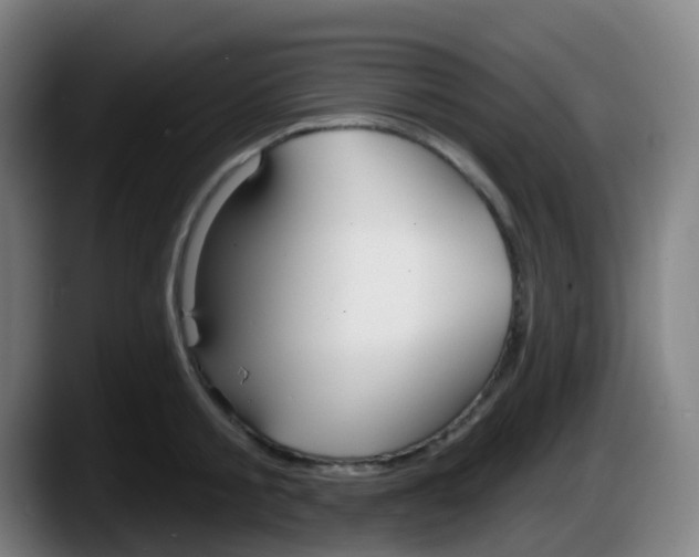 X0000087610805200705251941