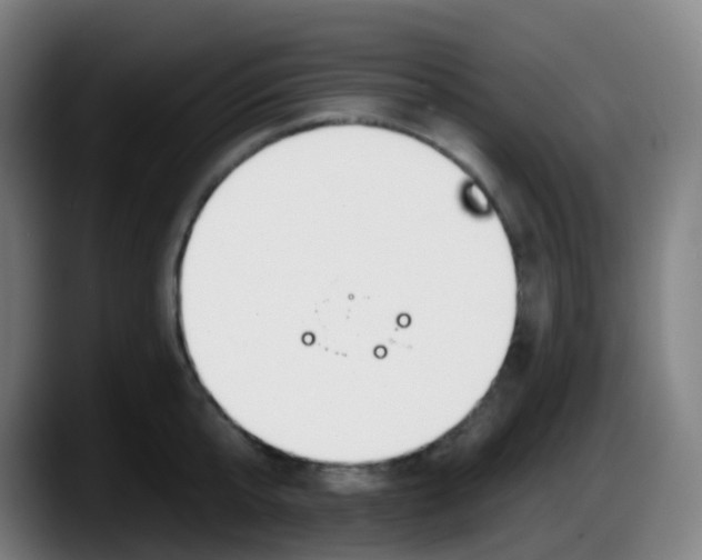 X0000087610807200705251941