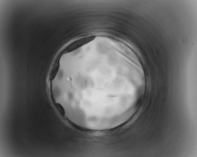 X0000087610814200705251941