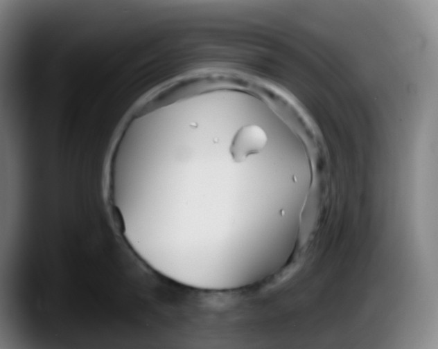 X0000087610815200705251941