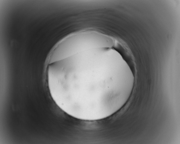 X0000087610816200705251941