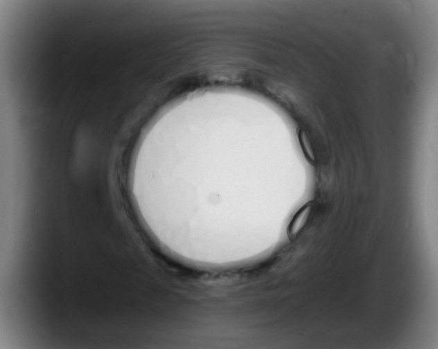 X0000087610817200705251940