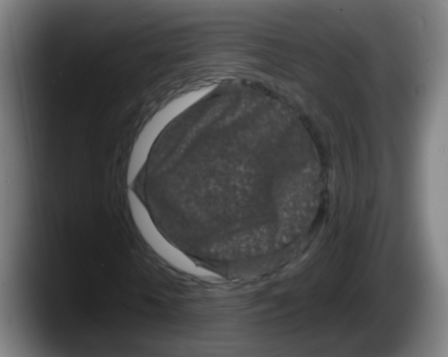 X0000087610818200705251940