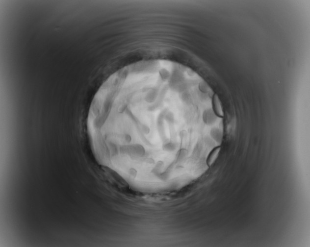 X0000087610819200705251940