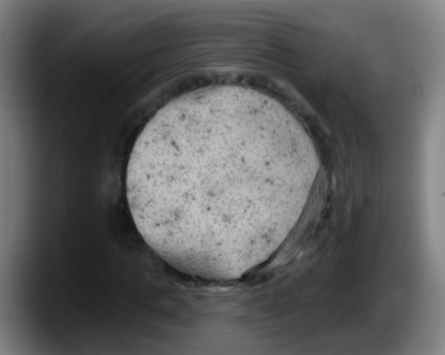 X0000087610821200705251940