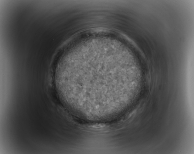 X0000087610823200705251940