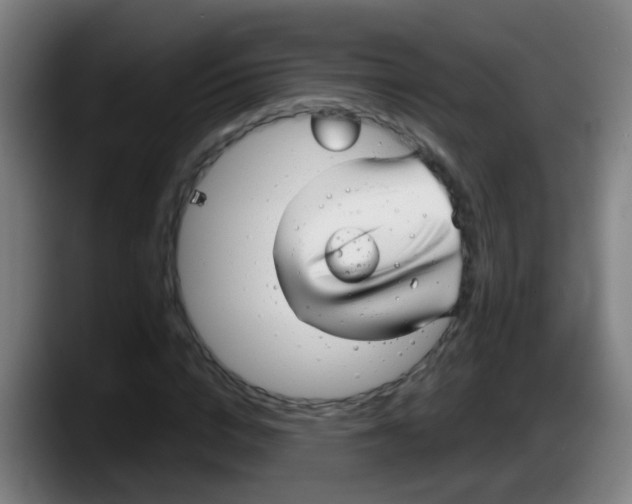 X0000087610824200705251940