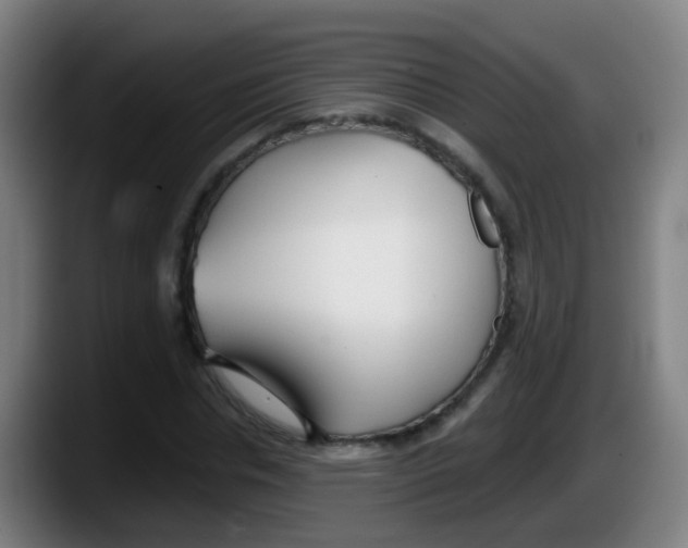 X0000087610826200705251940