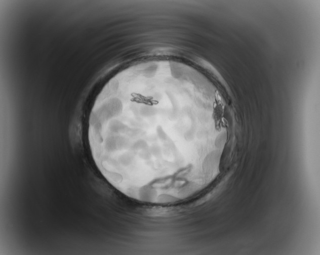 X0000087610827200705251940