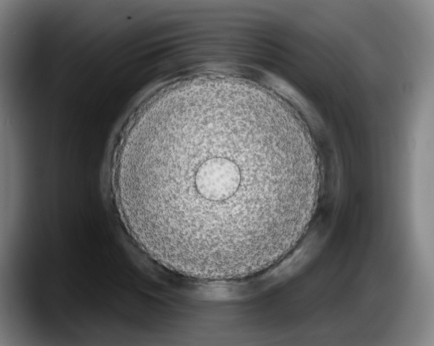 X0000087610828200705251940