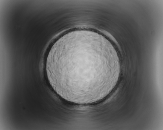 X0000087610831200705251940