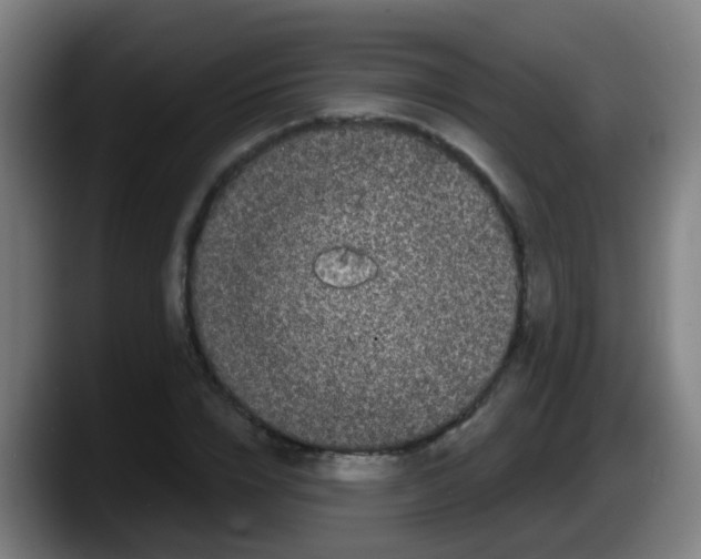 X0000087610832200705251940