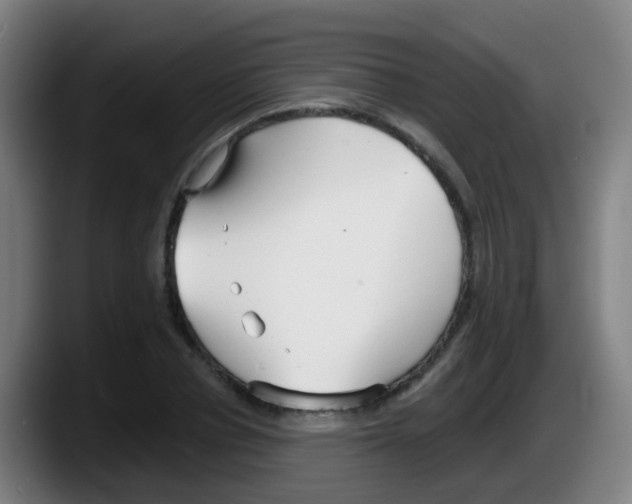 X0000087610834200705251941