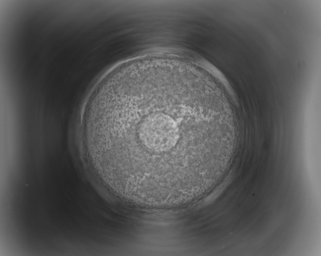 X0000087610836200705251941