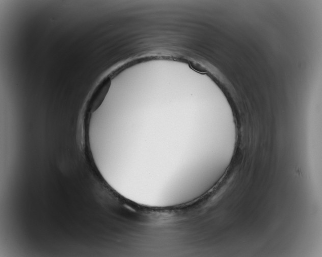 X0000087610838200705251941