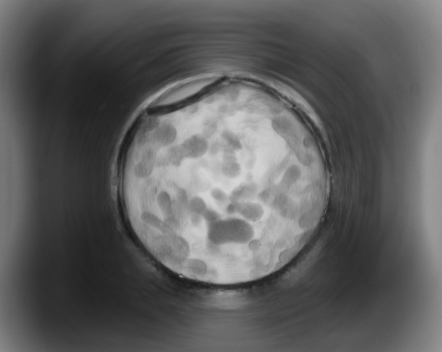 X0000087610839200705251941