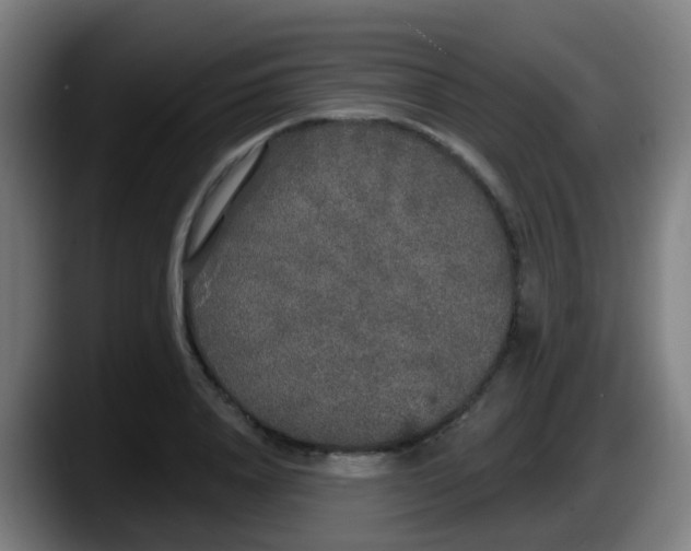 X0000087610840200705251941