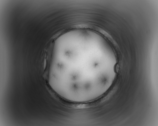 X0000087610841200705251941