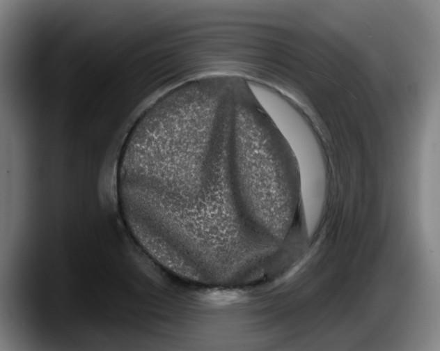 X0000087610842200705251941