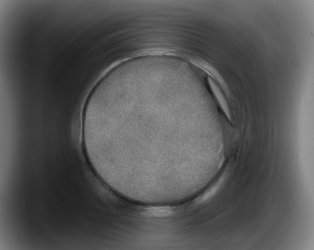 X0000087610844200705251941