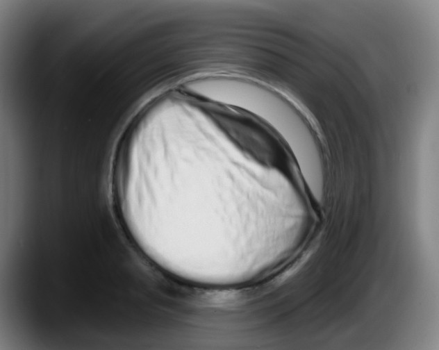 X0000087610845200705251941