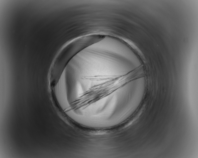 X0000087610846200705251941