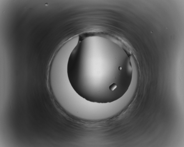 X0000087610850200705251941