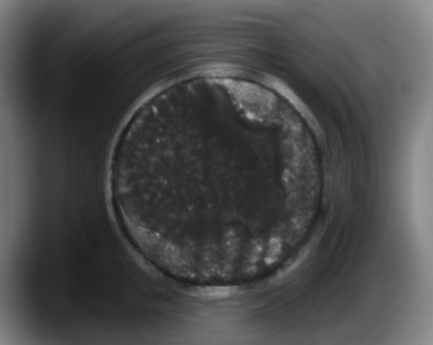 X0000087610853200705251941