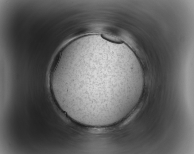 X0000087610854200705251941