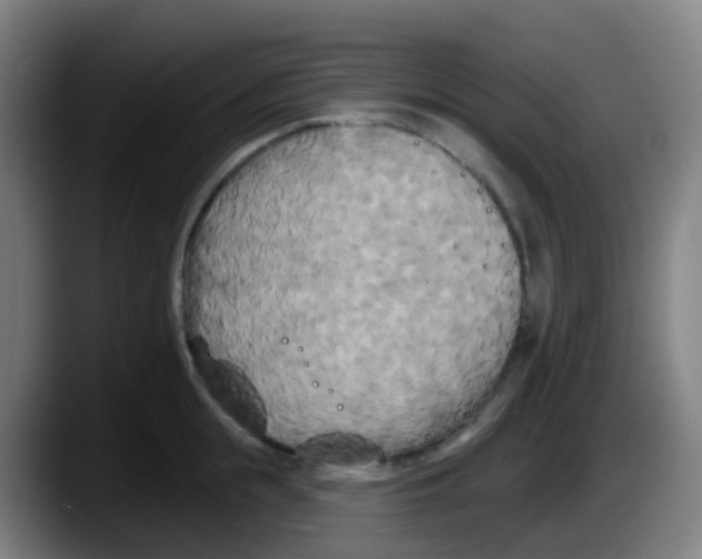 X0000087610855200705251941