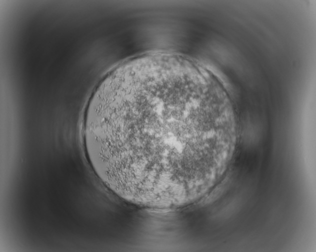 X0000087610856200705251941