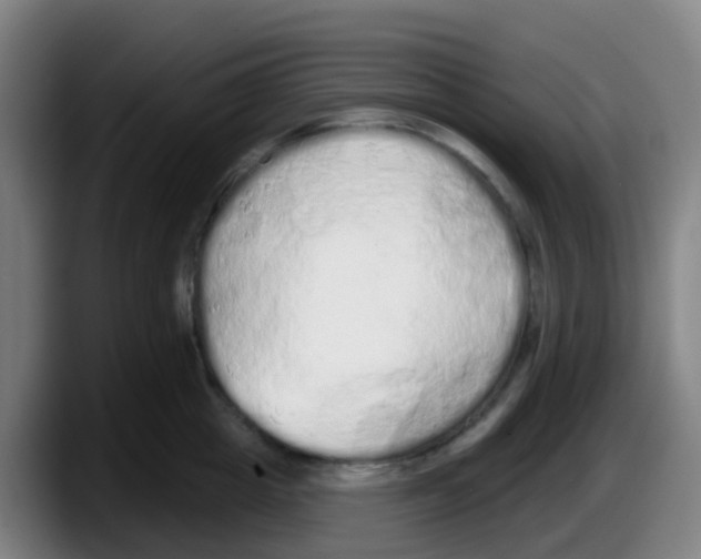 X0000087610857200705251941