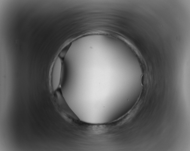 X0000087610858200705251941