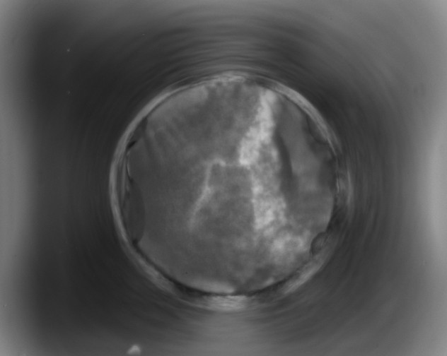 X0000087610859200705251941