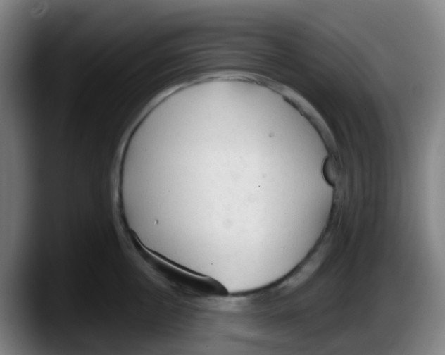 X0000087610860200705251941