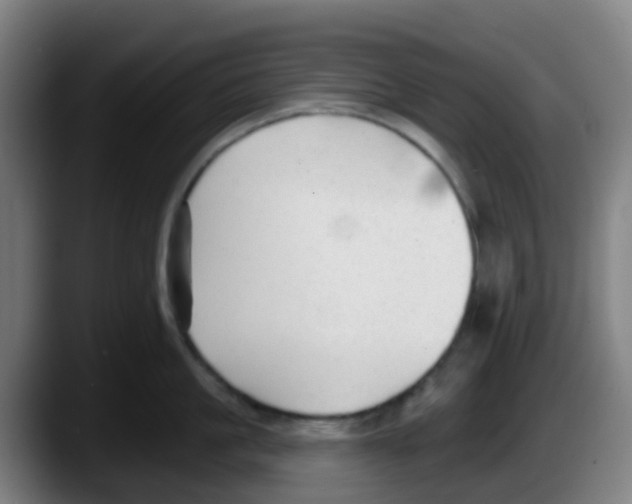 X0000087610861200705251941